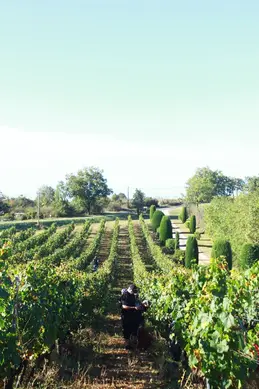 50-chateau-chambert-163.webp
