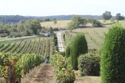 50-chateau-chambert-181.webp